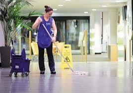 Domestic Services